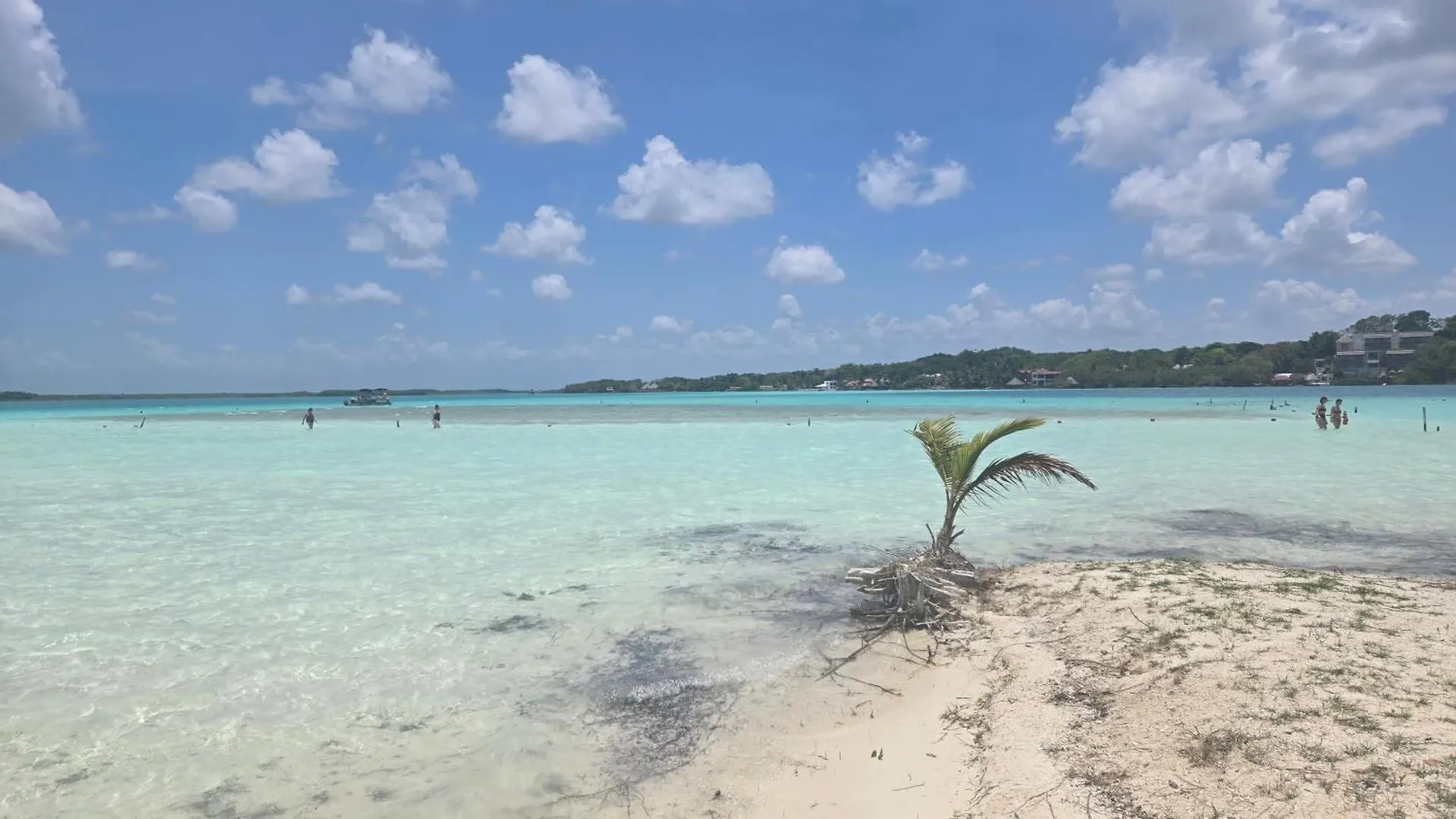 Playa Laguna Bacalar Beach Front